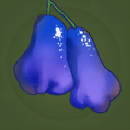 Viperspit Berry